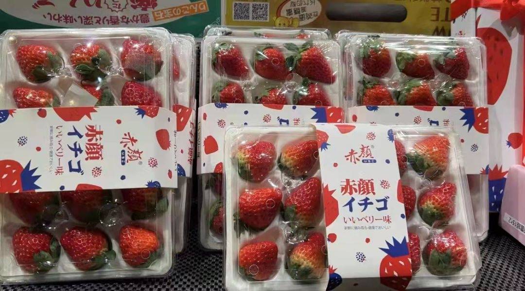 草莓新上市啦~记者在金山水果市场发现(图1)
